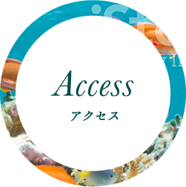 アクセス